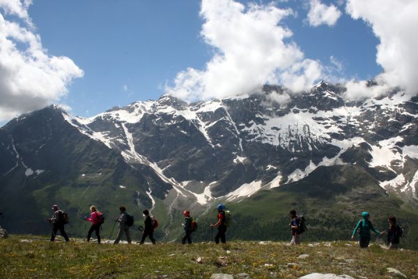 SENTIER J.A. CARREL (65)